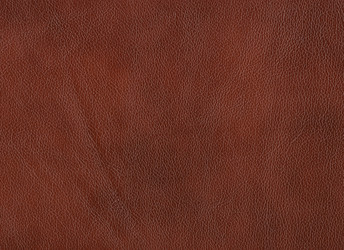 Similar image 313955