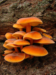 Similar image 313994