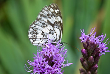 Similar image 314042