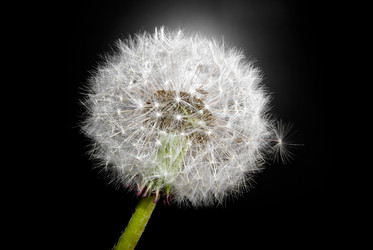 Similar image 314045