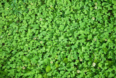 Similar image 314071