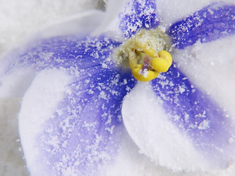 Similar image 314076