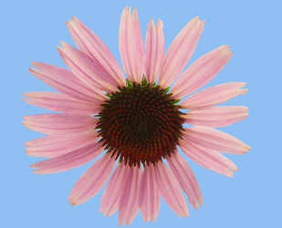 Similar image 314107