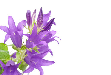 Similar image 314108