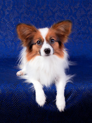 Similar image 314140