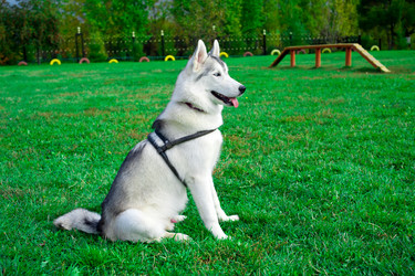 Similar image 314141