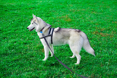 Similar image 314142