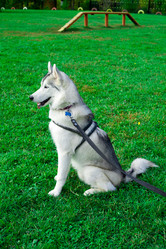 Similar image 314143