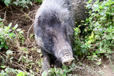 Similar image 314153