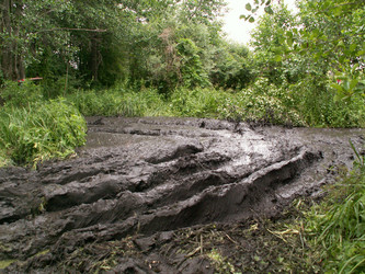 Similar image 314154