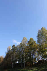 Similar image 314157