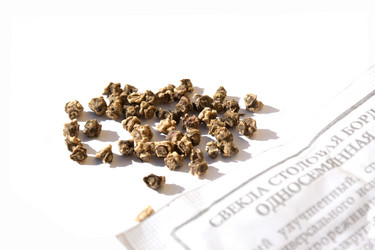 Similar image 314237