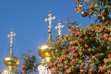 Similar image 314247