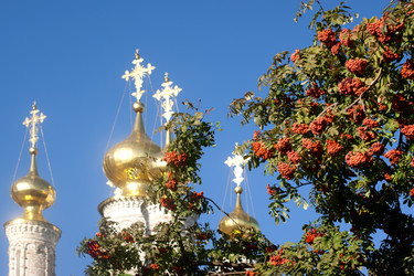 Similar image 314248