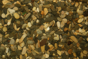 Similar image 314251