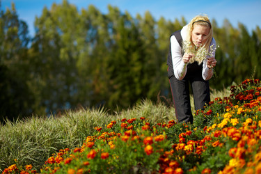 Similar image 314261