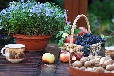 Similar image 314320