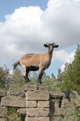 Similar image 314373