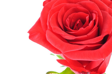 Similar image 314406