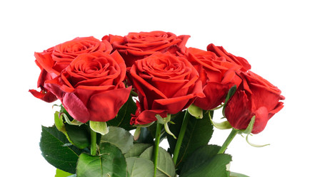 Similar image 314407