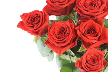 Similar image 314408