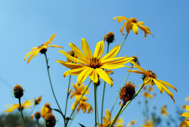 Similar image 314420