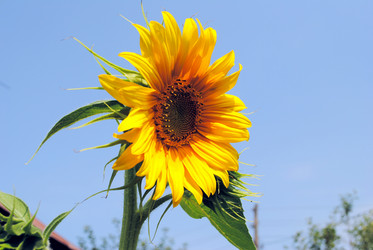 Similar image 314421