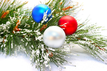 Similar image 314491