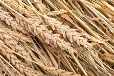 Similar image 314501