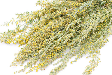 Similar image 314512