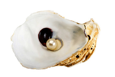 Similar image 314513