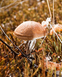 Similar image 314516