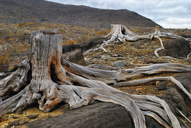 Similar image 314519