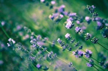 Similar image 314527