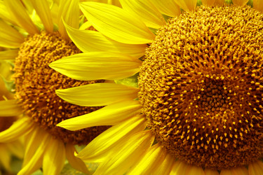 Similar image 314548