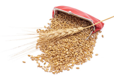 Similar image 314551