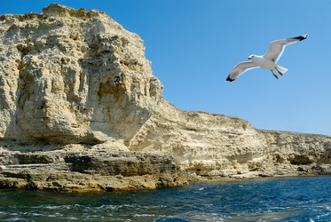 Similar image 314553