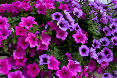 Similar image 314568