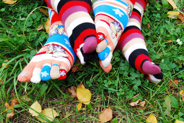 Similar image 314603