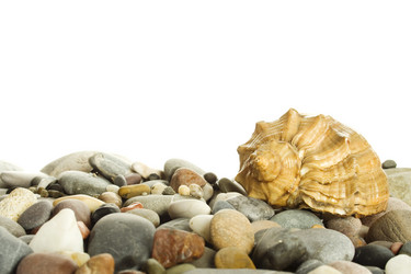 Similar image 314606