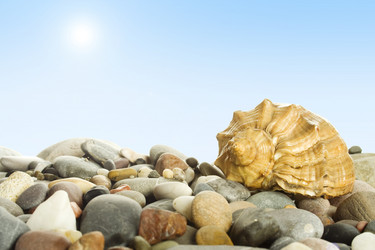 Similar image 314608