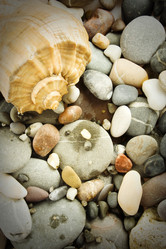 Similar image 314615