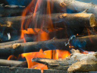 Similar image 314660