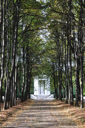 Similar image 314683