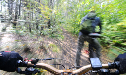 Similar image 314734