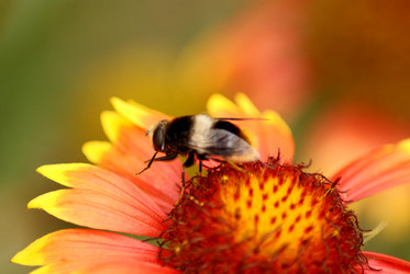 Similar image 314756