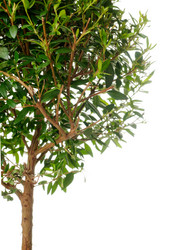 Similar image 314779