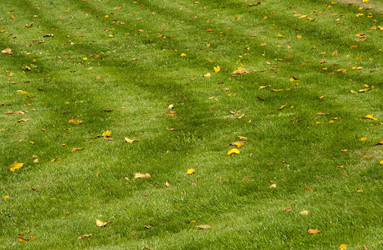 Similar image 314786