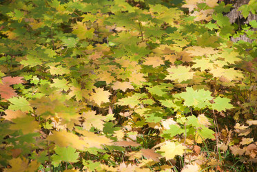 Similar image 314787