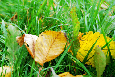 Similar image 314815